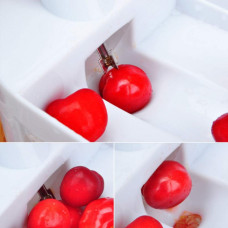 Машинка для видалення кісточок з вишні вишнедавка Cherry Seed Remover 149918