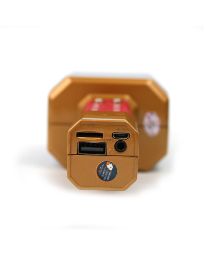 Бездротовий Bluetooth мікрофон караоке DM Karaoke WS 1828 з підсвічуванням жовтий 150104