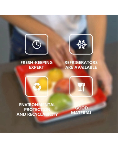 Лоток для зберігання продуктів у вакуумній упаковці Clever 179458