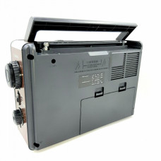Радіоприймач Акумуляторний GOLON RX- 9966 UAR з USB 183455