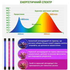 Фітолампа світильник для вирощування рослин FITOLAMP, 4 LED 207392