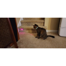 Інтерактивна іграшка смарт ошийник з вбудованим лазером для котів Smart laser collar 207416