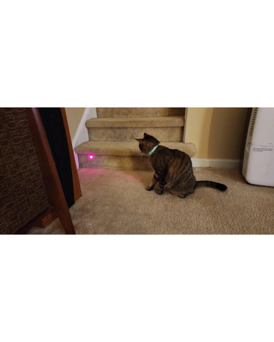 Інтерактивна іграшка смарт ошийник з вбудованим лазером для котів Smart laser collar 207416